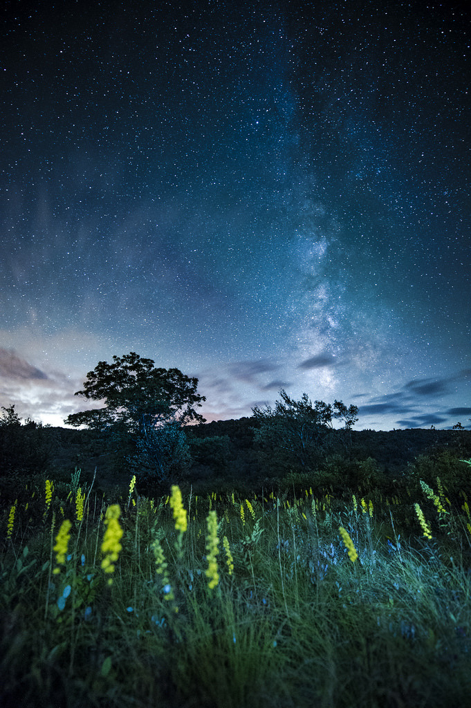 sitoutside:   Milky Way over Graveyard Fields   by  Spencer Black  