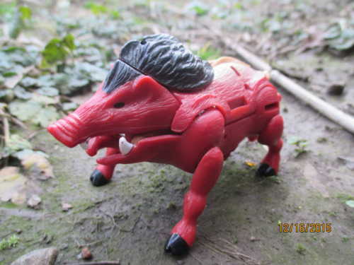 austinstoyblog:	4 photos by austin hinton   