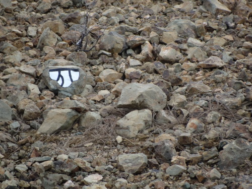 Have you ever found one of these ? Mysterious artist leaves these all over California.