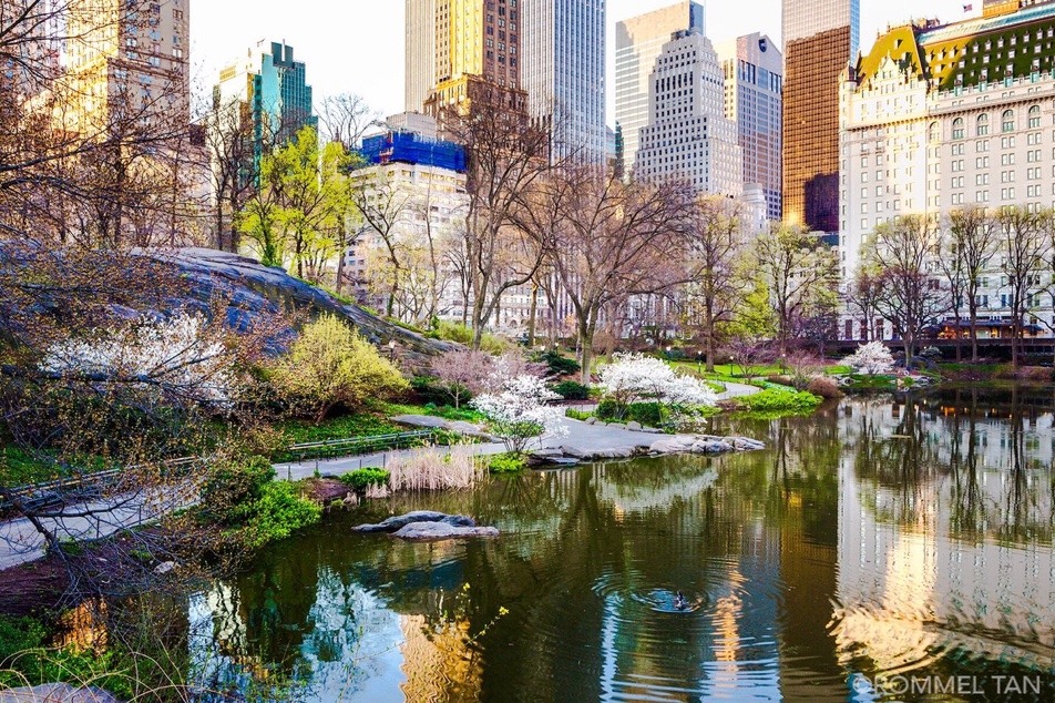 The Pond at Central Park by Rommel Tan @rtanphoto