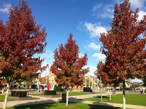 chocolatequeennk: Autumn in Stratford-upon-Avon