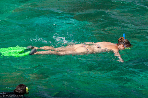 Some final snorkelling pictures before I came out of the water.