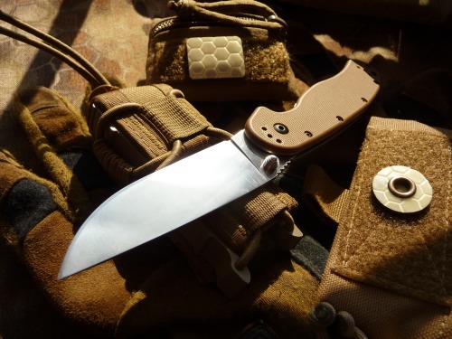 Ontario RAT II in Coyote brown .