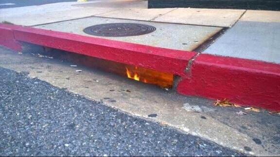 500daysofbased:  when ninja turtles bumpin Migos