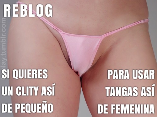 obediencia-sissy:  Tu transformación estará cerca de terminar cuando tu clity sea tan pequeño que puedas usar tangas y lucir así  Reblog si usas tangas Like si te gustan las sissy   Uso tanguitas