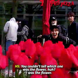The Prettiest Flower #smeraldo