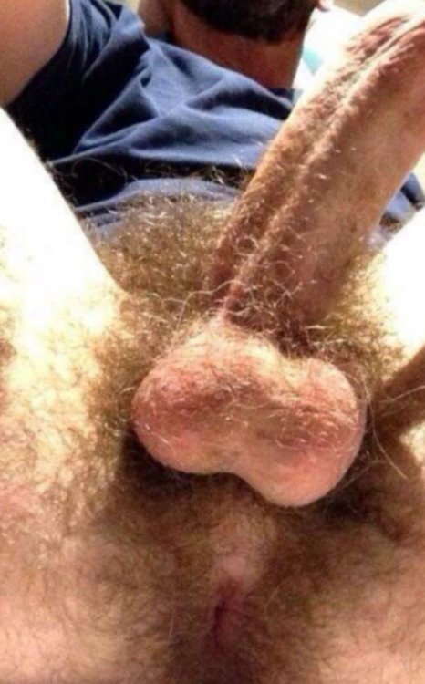 Porn Pics unsolicitedgrindr:  Hairy german dad