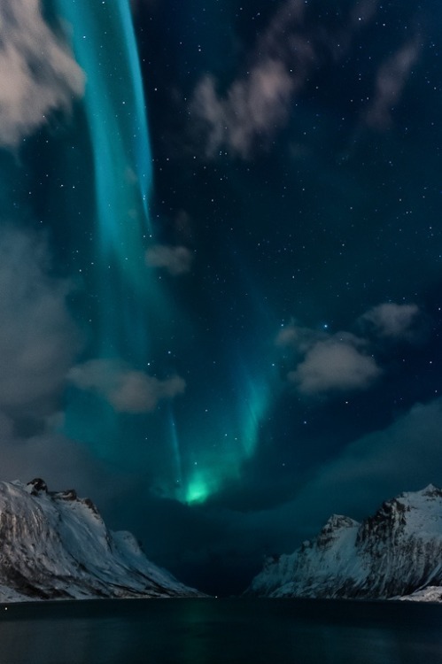 cedorsey:  Northern Lights, Norwayphotographer unknown