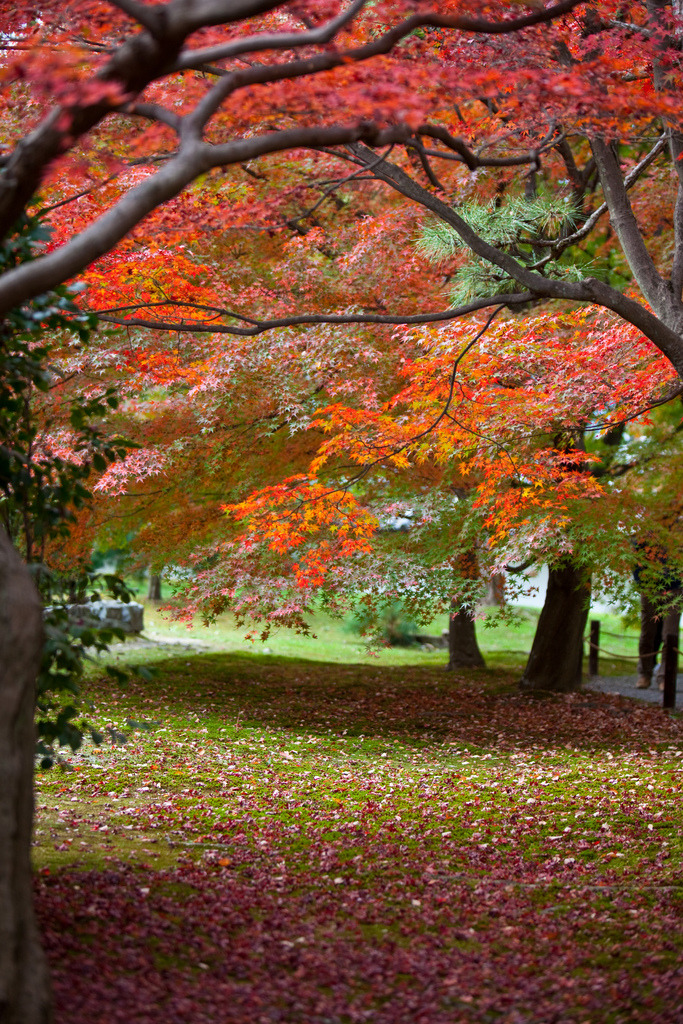 vnformed:  autumn (by dev deploy) 