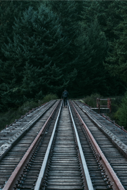 expressions-of-nature:  into the wild : Takashi Kusaka