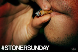 weedporndaily:  Happy Stoner Sunday! Tag your