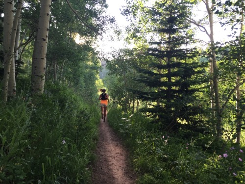 I love running trails, something very soothing and relaxing about running on trails that makes it easier … I need to get back into running shape again