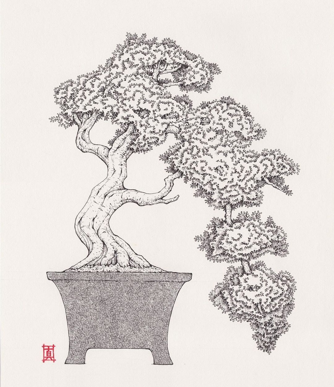 Daily Mano Bonsai Tree Drawing 3 盆栽絵第三段