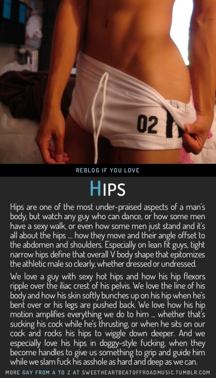 sweetheartbeatoffroadmusic:  HIPS. Find your thing: Gay From A to Z, view the full index alphabetica