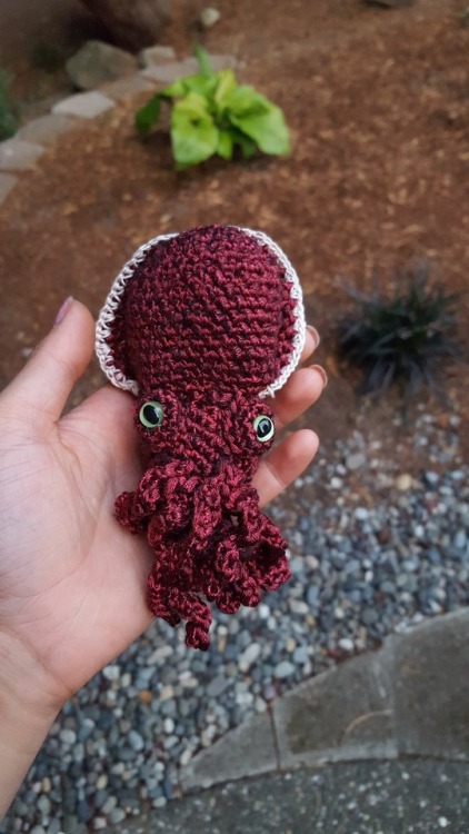 crochetbabe: Squid photoshoot in natural light! Plus a bonus Hermaea olivae nudibranch as well :) I 