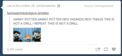 idlers-beatle-dream:  just a few minutes on my dash i love hp fandom 