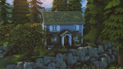 Forest Cabin On A Hill