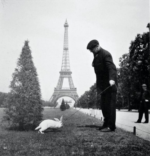 Robert Doisneau, Paris, 1944.