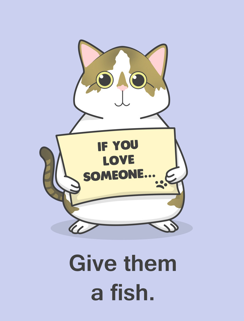 aimeetrawick:  Hoppy Cat shares advice on showing affection!  