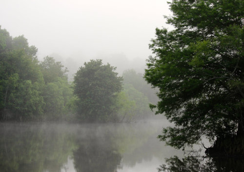 isawatree: fog over lake alice 2 by CommonMime