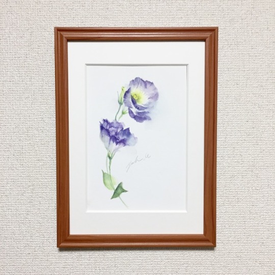 Eustoma Sep.10.2017 watercolor size:158*227mm (SM) paper:water ford white (中目・300g/m2)