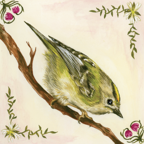 Goldcrests - Gouache & Watercolour