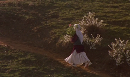 communicants:  Through The Olive Trees (Abbas Kiarostami, 1994)