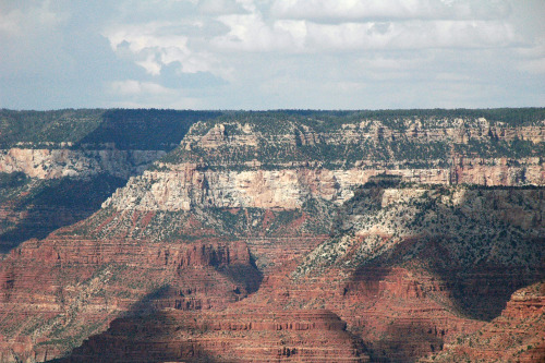 The Coconino Sandstone and PangeaIn the middle and late parts of the Permian, most of the Earth’s la