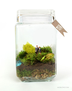 hoidn: IT IS MULDER AND SCULLY IN A TERRARIUM from moss love 