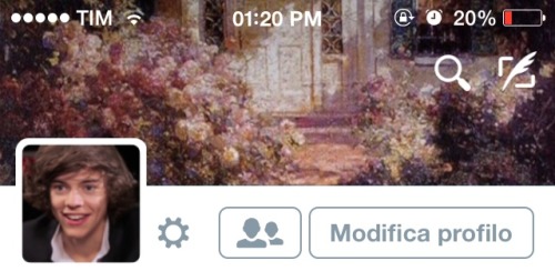 ୨୧˙˳⋆ harry styles layouts ⋆˳˙୨୧ • like or reblog if save. • don’t steal please, respect my work. • 