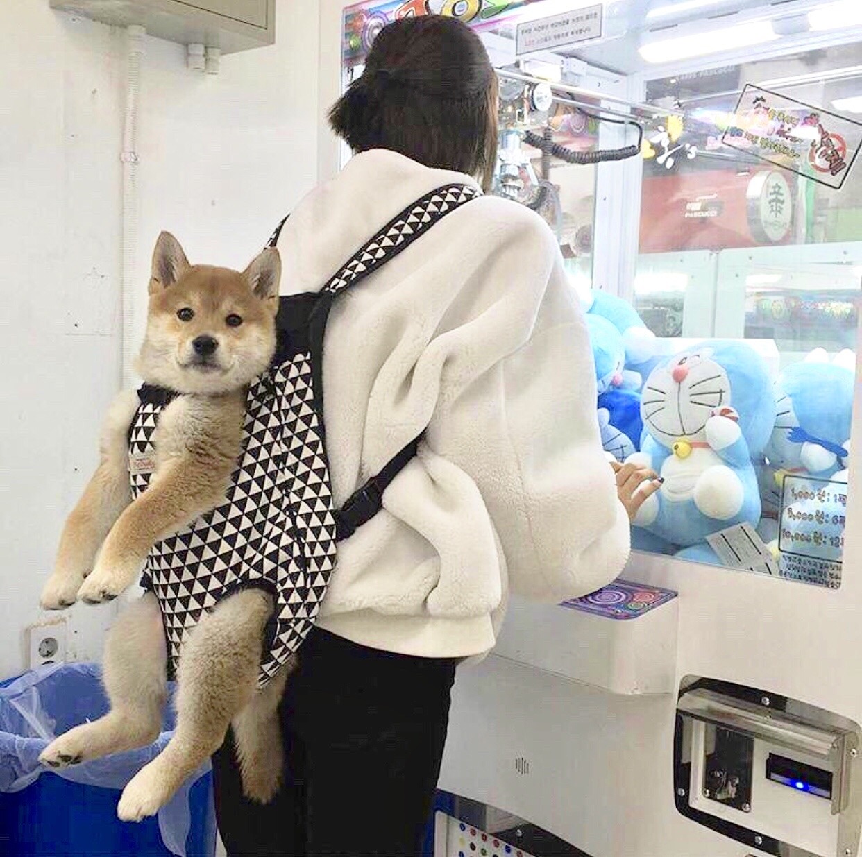 woof?