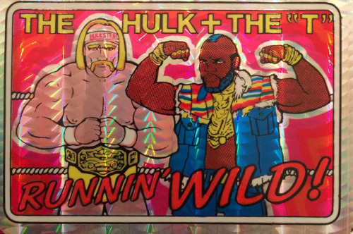 hulk hogan