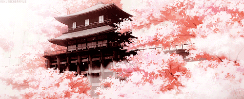 Long Live The Emperor …