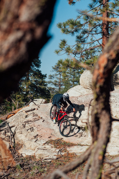 vernorfilm: I made a short vid for instagram about my first date on my new Rocky Mountain ‘Thunderbo