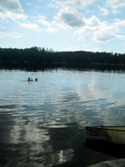 scent-of-pine:Swimmers in Pickerel Lake, Quetico Provincial Park