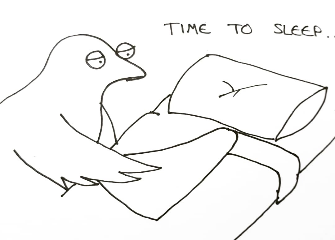 crow&ndash;no: