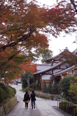 felixjapan:  Kiyomizu-dera, Kyoto, Japan. Photo