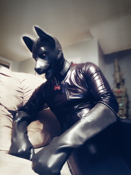 tumblr photo good-dog-girls 2