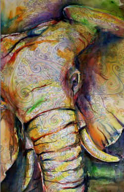 vufus:  "Watercolor Elephant" Artist: Kit Sunderland 