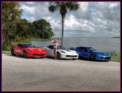 Corvettes, Ect.