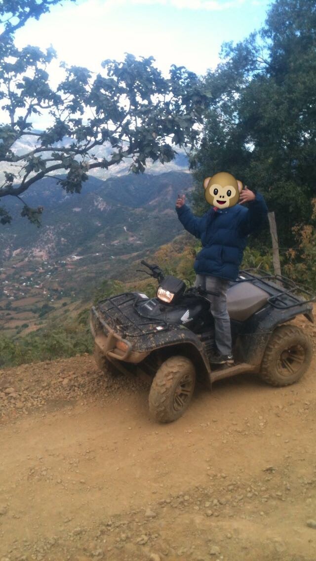 narcoteca:Me voy pa la sierra cuando hace calor 🌲🌲