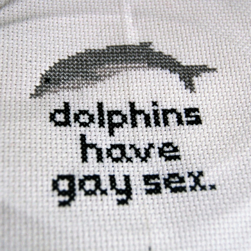 Dolphins have gay sex by Idastalder on Flickr.