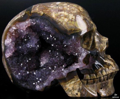 peachghosts: Skulls carved out of geodes 