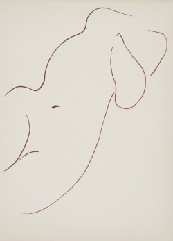 mybluewindow: Henri Matisse - Florilège des amours de Ronsard Illustrations 