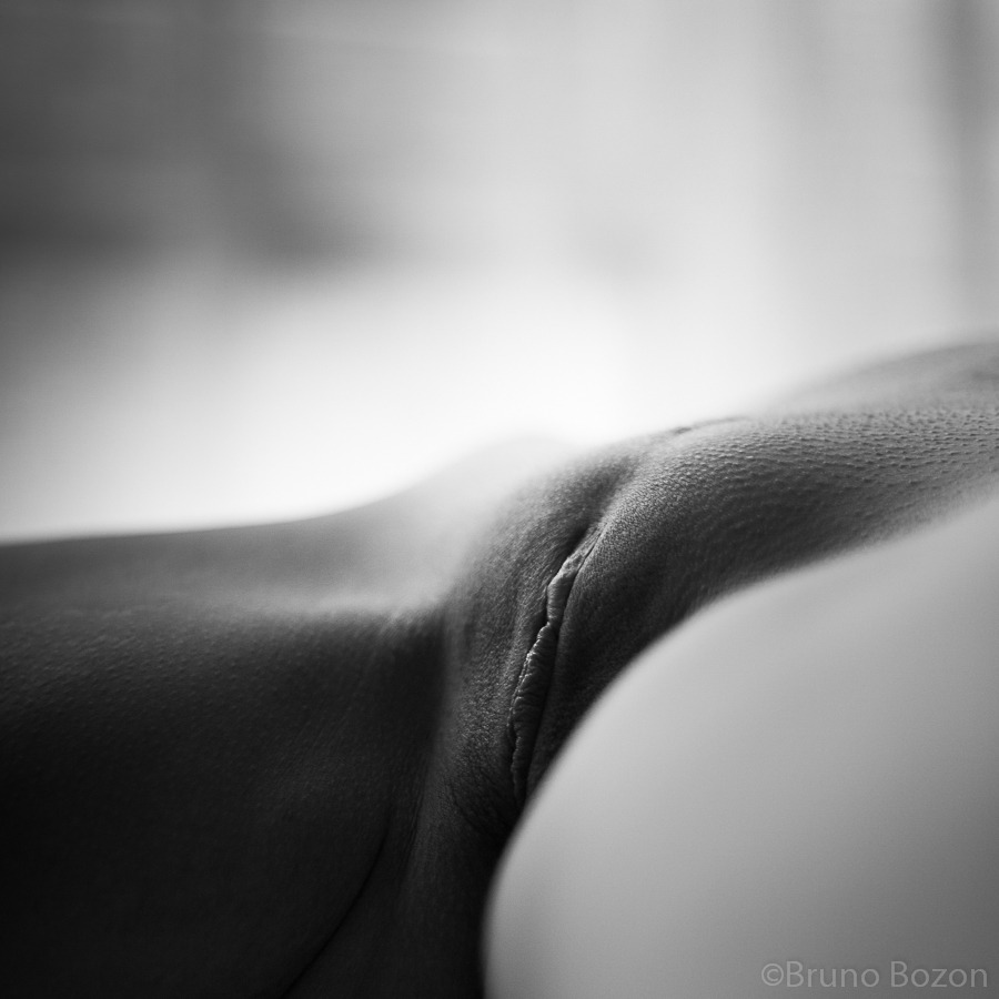 ttoottoott:  Ligne de vie by guns 