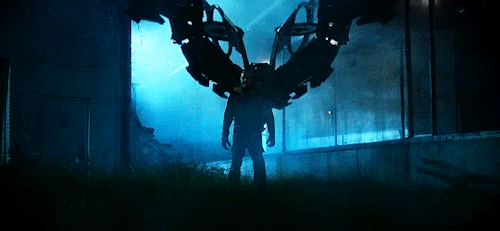 The Vulture Wingsuit