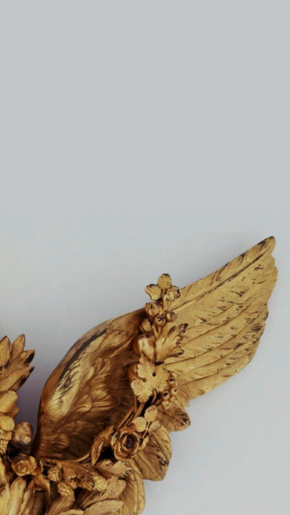 wholepapers:apollofor @lovelyflwr