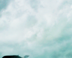 iheartgot: They held each other close then turned their backs upon the end The hills