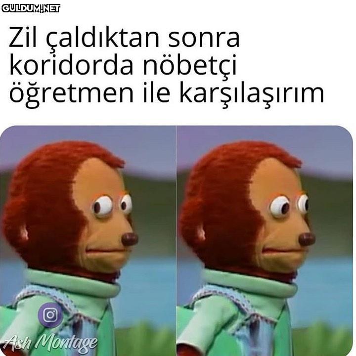 Zil çaldıktan sonra...