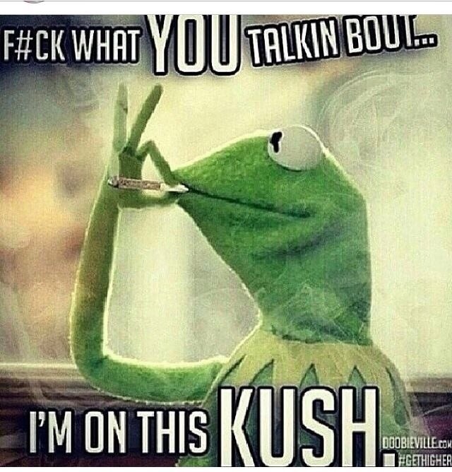 whitegirlsaintshit:  bootykage:  nigga thats a black n mild  that’s a moldy newport.